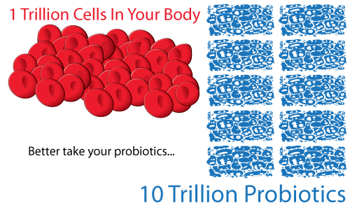 Probiotics: the 2kgs you want to hang on to!