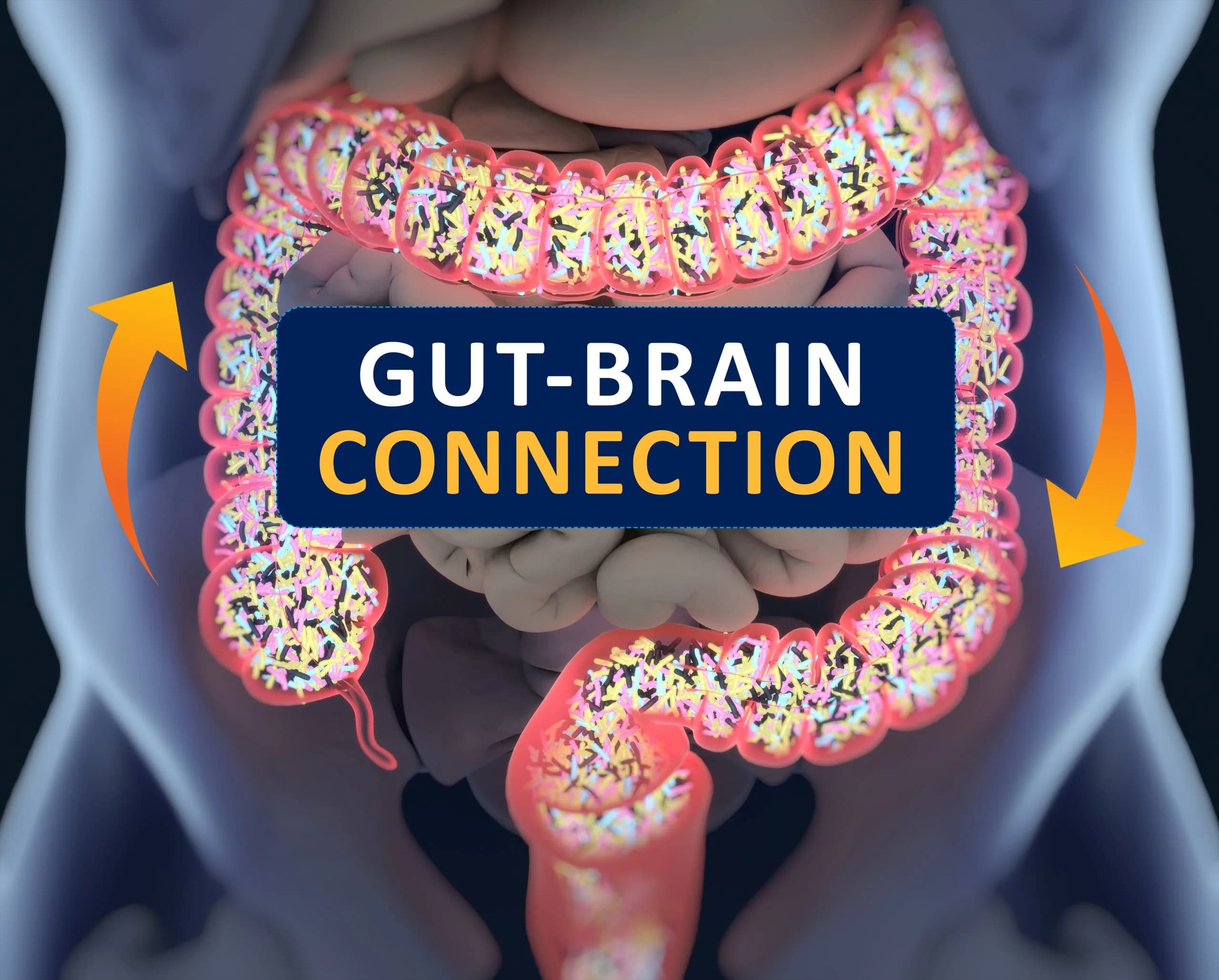 Feedback from my gut-brain talk at The Royal College of Physicians