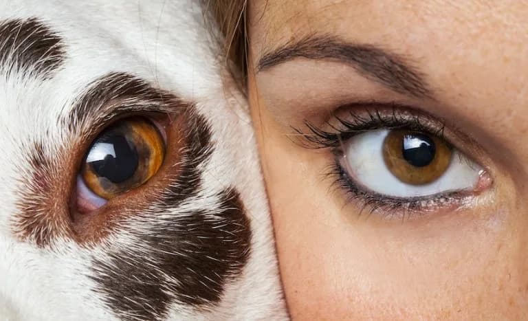 Person face to face with a dog