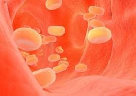 Cholesterol - the HUGE health hoax