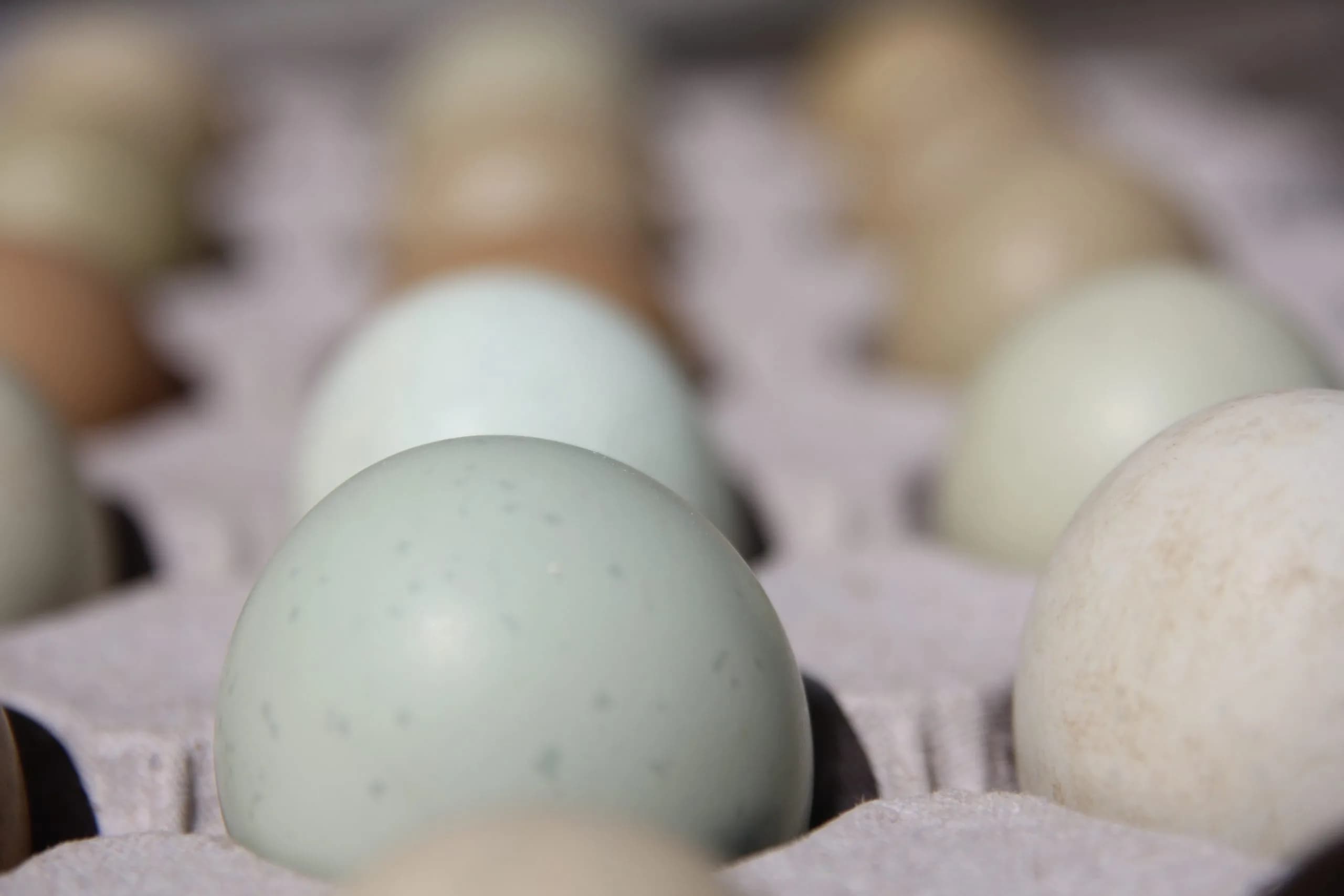 Why LDL cholesterol is only bad once it meets sugar