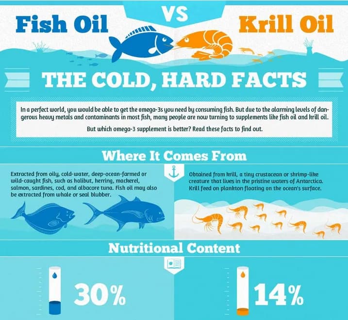 Why Not All Omega 3 is the Same