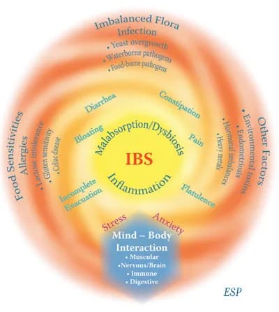 Irritable Bowel Syndrome (IBS) - some practical advice