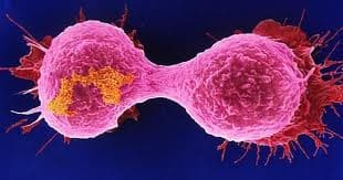 89 versus 2 …. this is a mind-blowing fact about cancer.