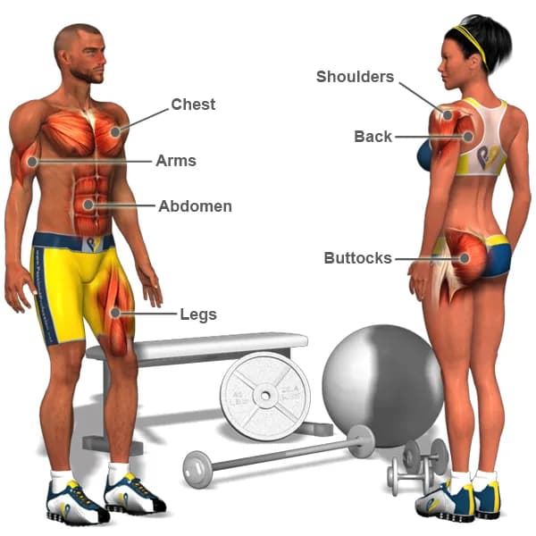 Muscles are great fat-burners - so get pumping!